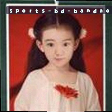 大刘